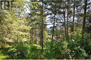 10713 Westshore Road - Photo 5