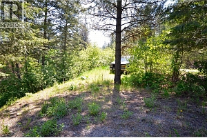 10713 Westshore Road - Photo 7