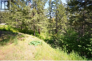 10713 Westshore Road - Photo 8