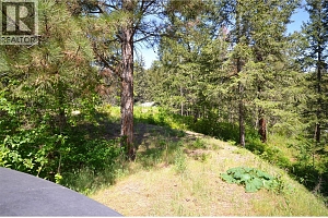 10713 Westshore Road - Photo 9