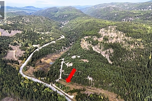 Clark Creek Road Lot# 17 - Photo 10