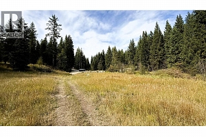 Clark Creek Road Lot# 17 - Photo 6