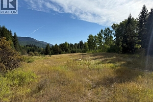 Clark Creek Road Lot# 17 - Photo 7