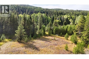 Clark Creek Road Lot# 17 - Photo 8