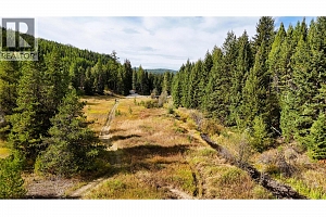 Clark Creek Road Lot# 17 - Photo 9