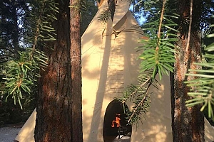 5918 Ehlers Road - Photo 15