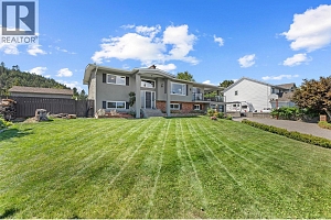 2710 Guidi Road - Photo 11