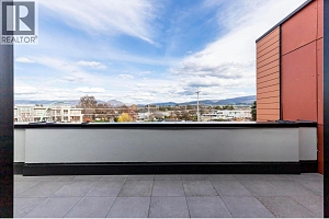 3352 Richter Street - Photo 39