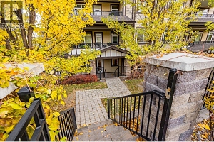 3843 Brown Road Unit# 2101 - Photo 30