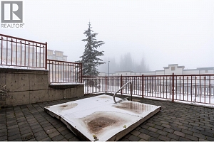 9804 Silver Star Road Unit# 203 - Photo 26