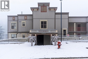 9804 Silver Star Road Unit# 203 - Photo 3