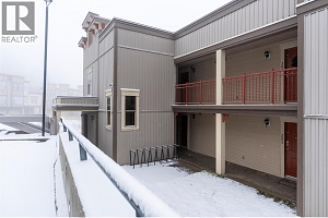 9804 Silver Star Road Unit# 203 - Photo 5