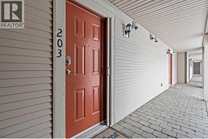 9804 Silver Star Road Unit# 203 - Photo 6