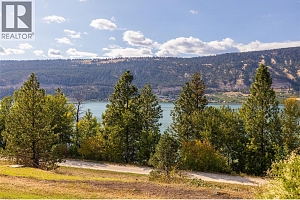 14876 Oyama Road - Photo 35