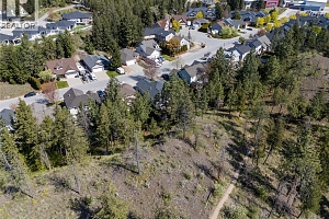 1474 Rose Meadow Drive - Photo 53