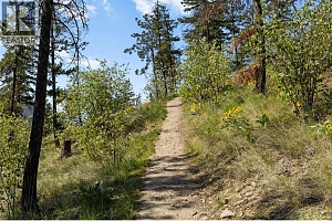 1474 Rose Meadow Drive - Photo 61