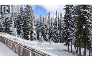 9812 Silver Star Road Unit# 103 - Photo 26