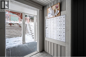 9812 Silver Star Road Unit# 103 - Photo 38