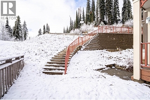 9812 Silver Star Road Unit# 103 - Photo 39