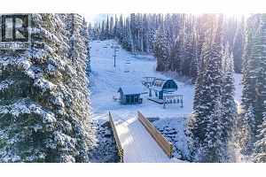 9812 Silver Star Road Unit# 103 - Photo 42