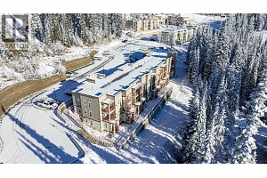 9812 Silver Star Road Unit# 103 - Photo 44