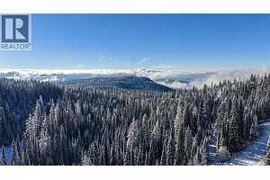 9812 Silver Star Road Unit# 103 - Photo 48