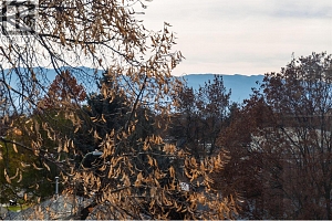 980 Glenwood Avenue Unit# 301 - Photo 35