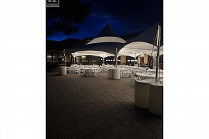 1727 Davidson Road - Photo 73