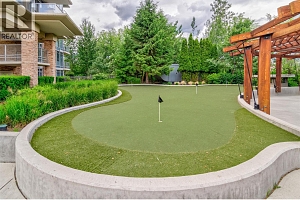 1099 Sunset Drive Unit# 241 - Photo 32