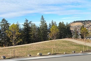 2066 Cortina Drive - Photo 21