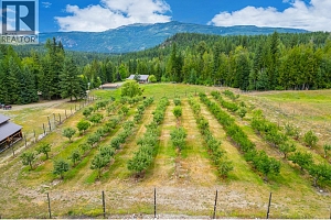 380 Richlands Road - Photo 69