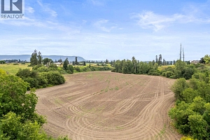 2589 Young Road - Photo 85