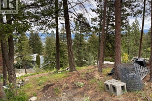 1638 West Kelowna Road - Photo 10