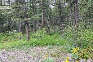 1638 West Kelowna Road - Photo 7