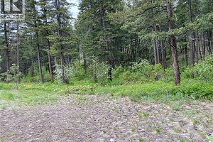 1638 West Kelowna Road - Photo 8