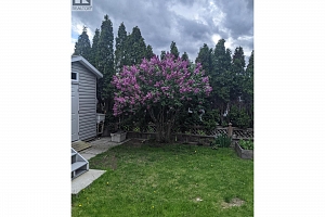 6100 Old Vernon Road Unit# 45 - Photo 35