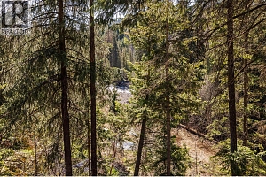 10623 Highway 33 East Highway - Photo 28