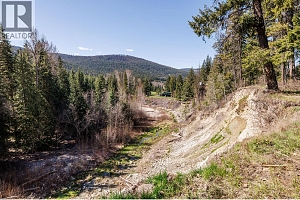 10623 Highway 33 East Highway - Photo 30