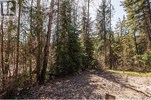 10623 Highway 33 East Highway - Photo 35