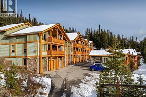 5940 Snowpines Way Unit# 2 - Photo 37