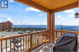 255 Feathertop Way Unit# 308/308A - Photo 13