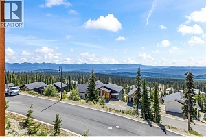 255 Feathertop Way Unit# 308/308A - Photo 14