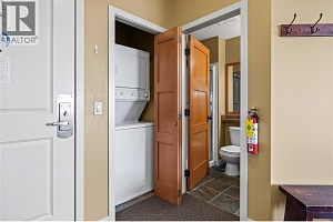 255 Feathertop Way Unit# 308/308A - Photo 17