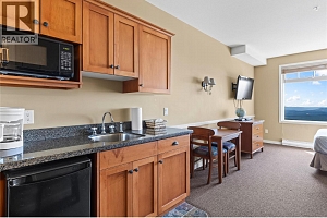 255 Feathertop Way Unit# 308/308A - Photo 32