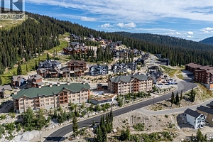 255 Feathertop Way Unit# 308/308A - Photo 36