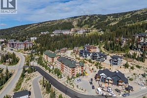 255 Feathertop Way Unit# 308/308A - Photo 39