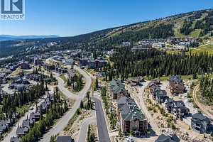 255 Feathertop Way Unit# 308/308A - Photo 42