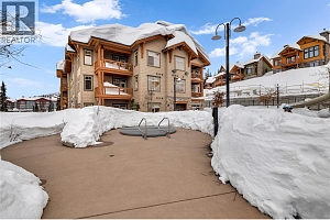 255 Feathertop Way Unit# 308/308A - Photo 51