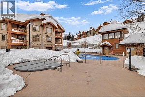 255 Feathertop Way Unit# 308/308A - Photo 53