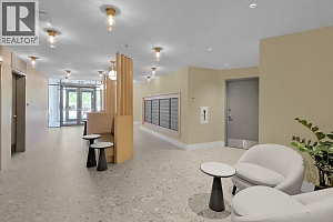 3341 Watt Road - Photo 53